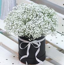 Цветочная композиция из Гипсофила в шляпной коробке в Курилловке