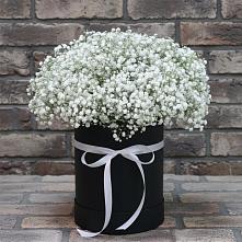 Цветочная композиция из Гипсофила в шляпной коробке в Курилловке