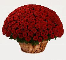 Премиум букет из: Розы в Курилловке